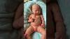 Lily Full body Solid Silicone Preemie/Newborn Baby Girl by Helen Connors